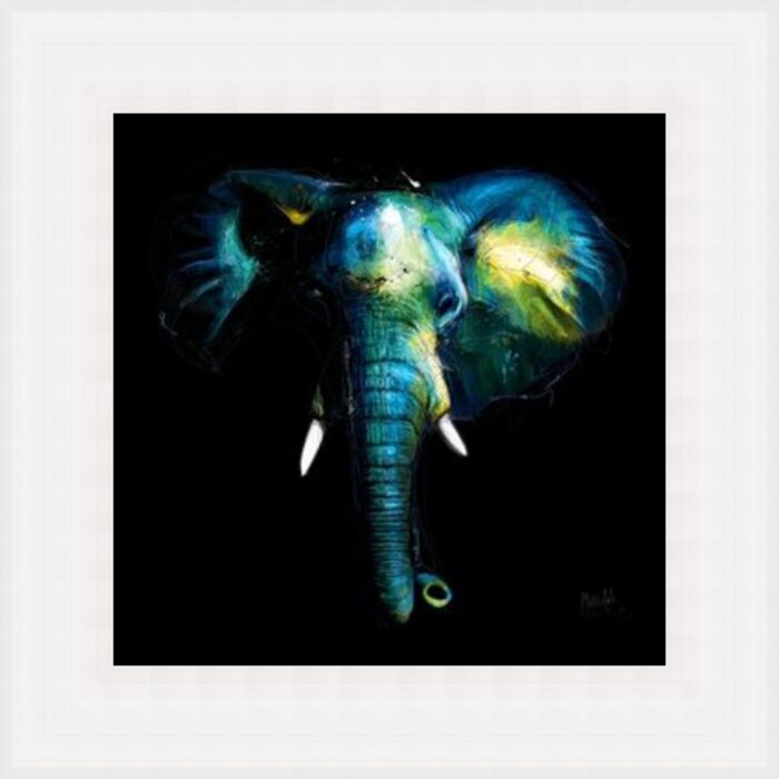 Wild Light is a Male Bull Elephant Framed in white frame