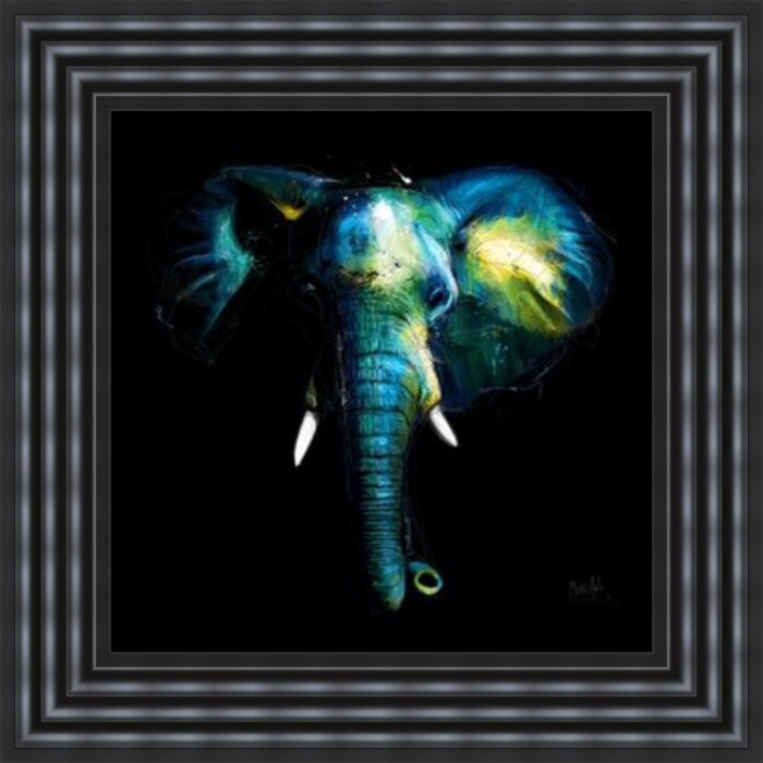 Wild Light Bull elephant in a Black Frame